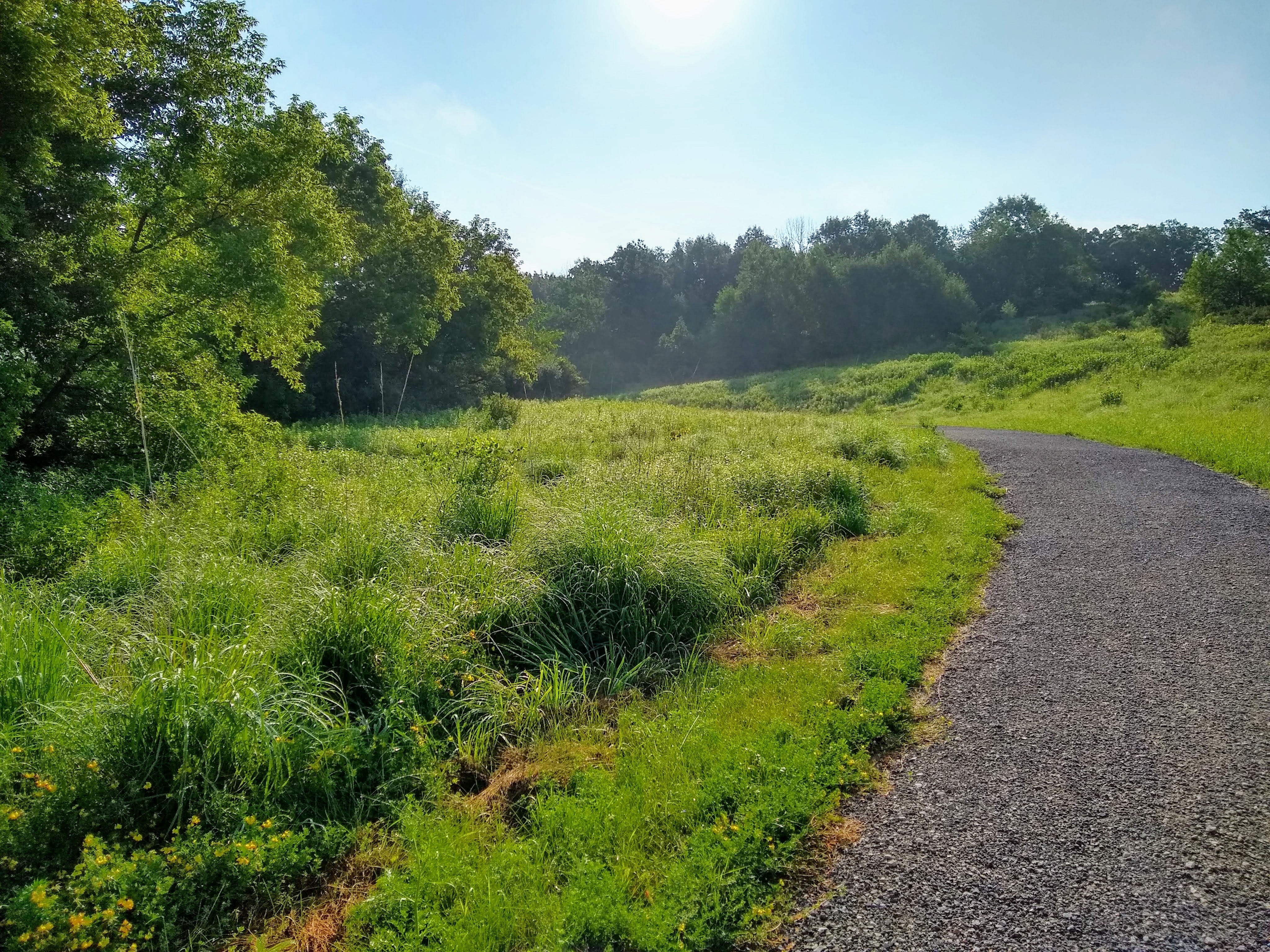 img_20190703_074838528_hdr